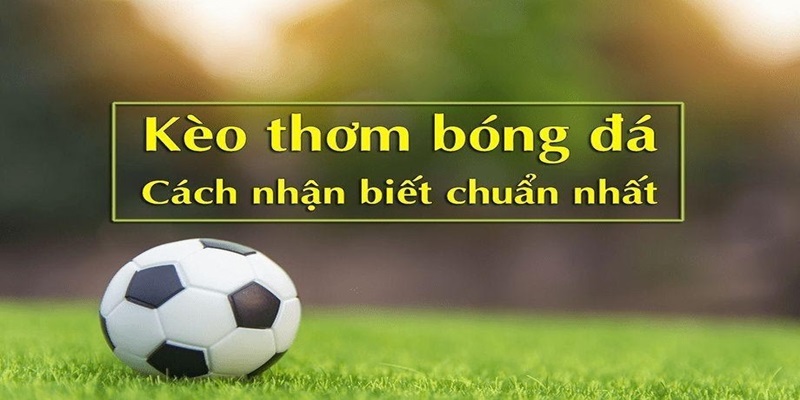 Cộng đồng phát triển nhiều dạng cửa cược cho thành viên tham gia